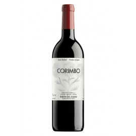 Corimbo 2021