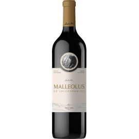 Malleolus de Valderramiro 2021