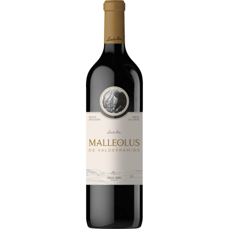 Malleolus de Valderramiro 
