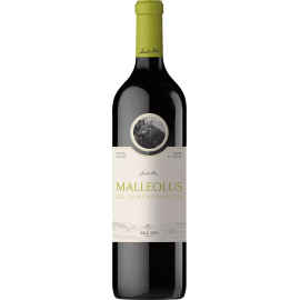 Malleolus de Sancho Martin 2018