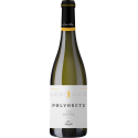 Polvorete 2024